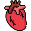 aicd, heart-doctor-services